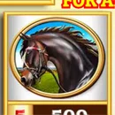 Spring Derby Paytable Symbol 8