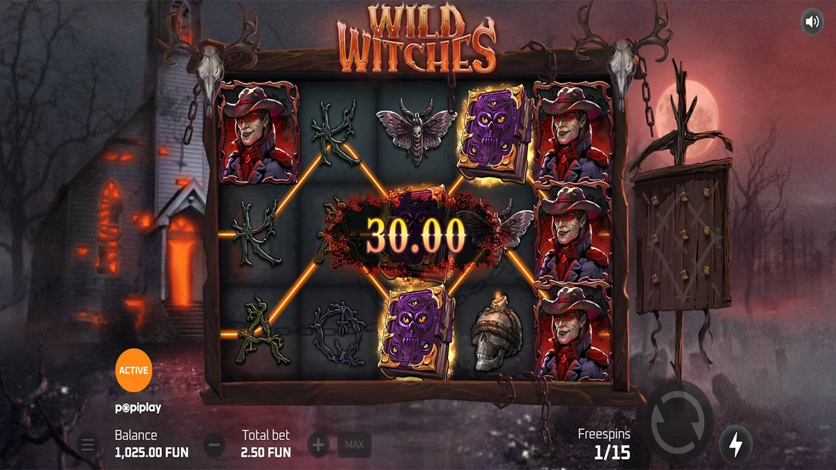 Wild Witches Small