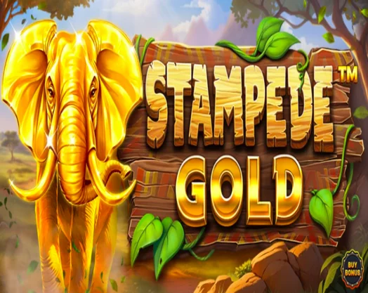 Stampede Gold