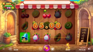 HOT FRUIT X15 Win2