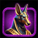 JOKER RA SUNRISE Anubis