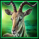 Realm of Lions Hold and Win Antelope