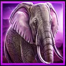 Realm of Lions Hold and Win Elephant