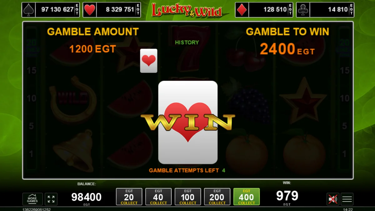 Lucky & Wild Gamble