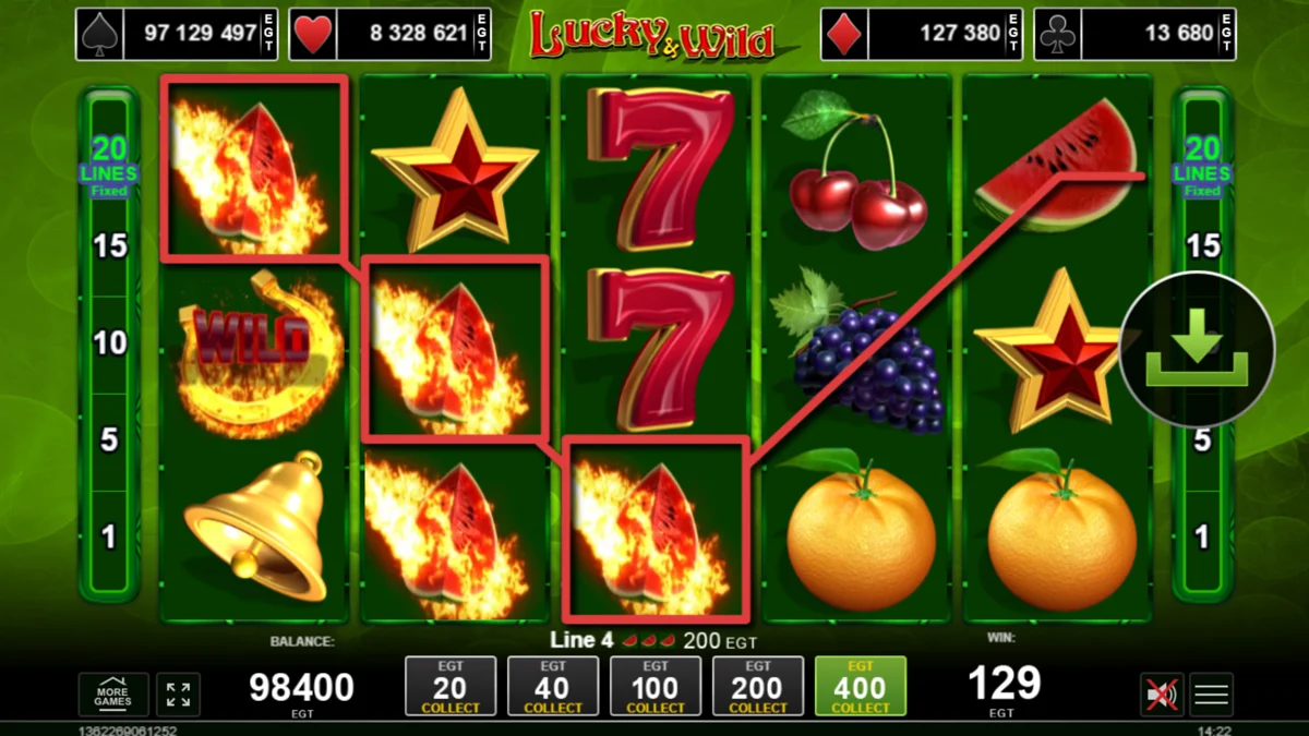 Lucky & Wild Win