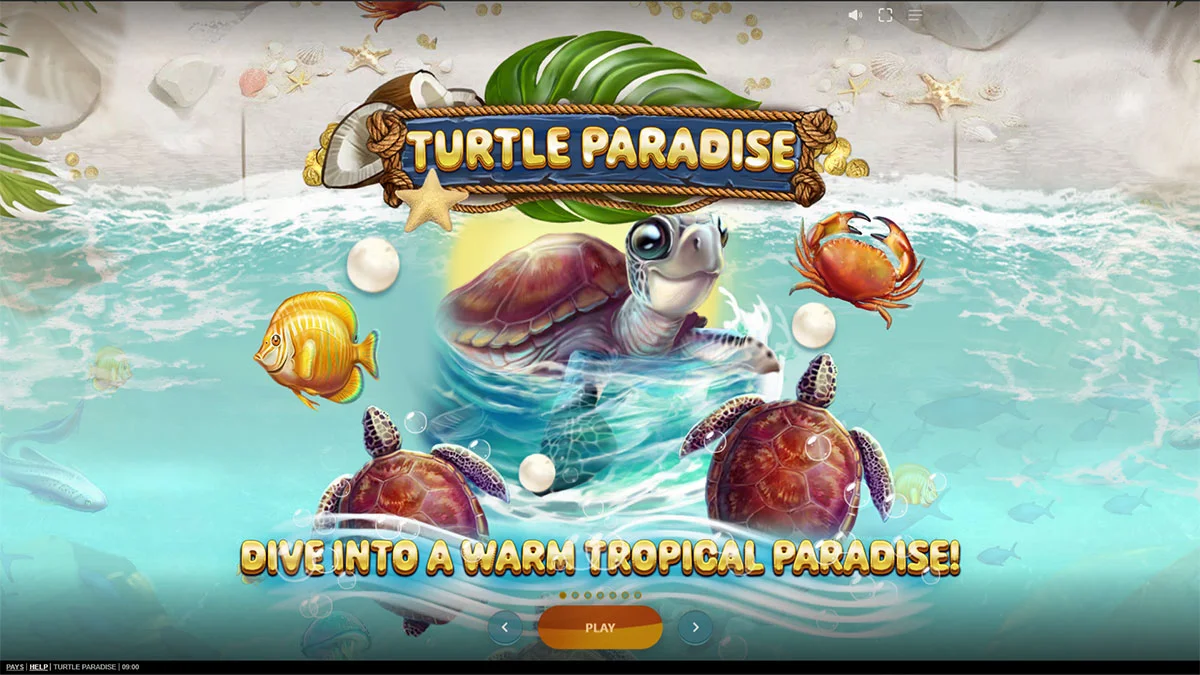 Turtle Paradise Homescreen