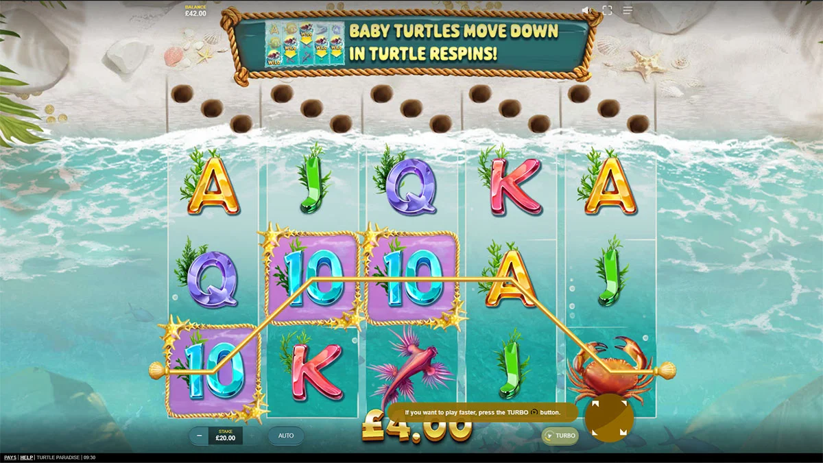 Turtle Paradise Win2