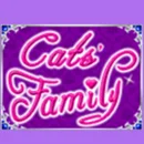 100 Cats Paytable Symbol 2