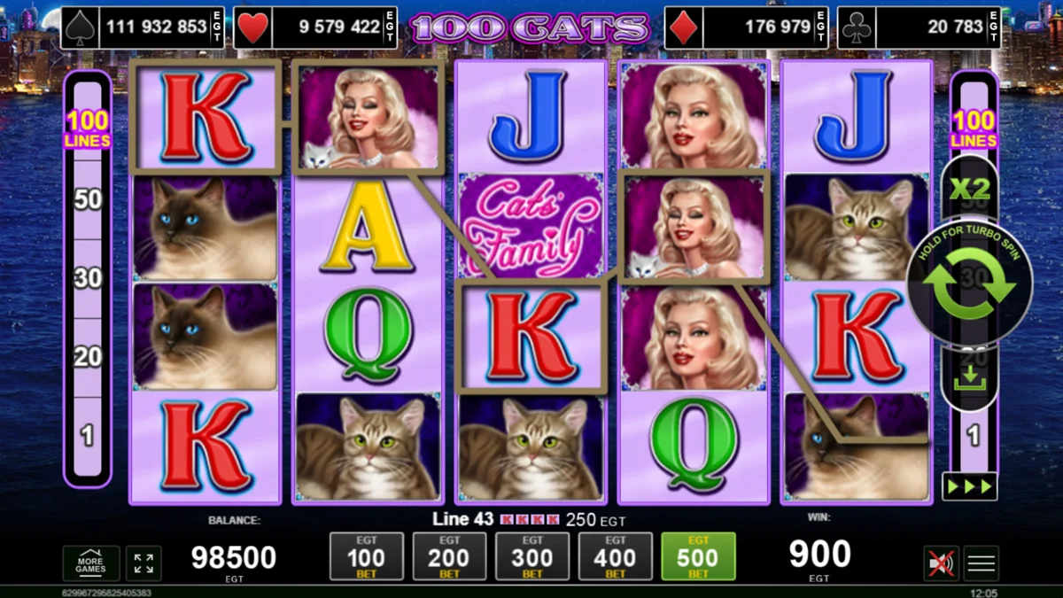 100 Cats Win