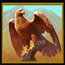 Himalayan Wild Eagle