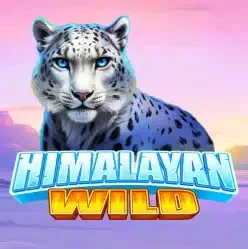 Himalayan Wild Thumbnail