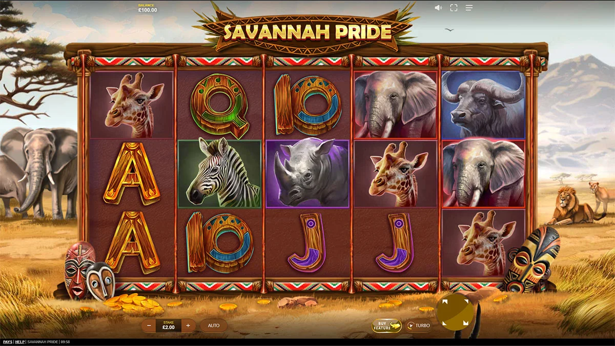 Savannah Pride Base