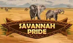 Savannah Pride Thumbnail