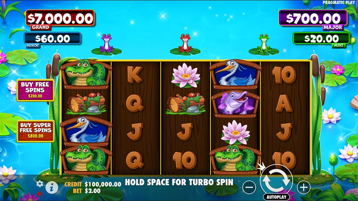 Tiny Toads Base