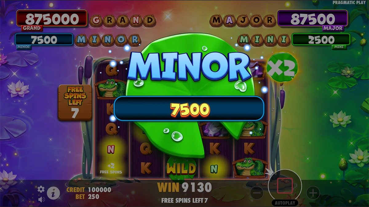 Tiny Toads Minor