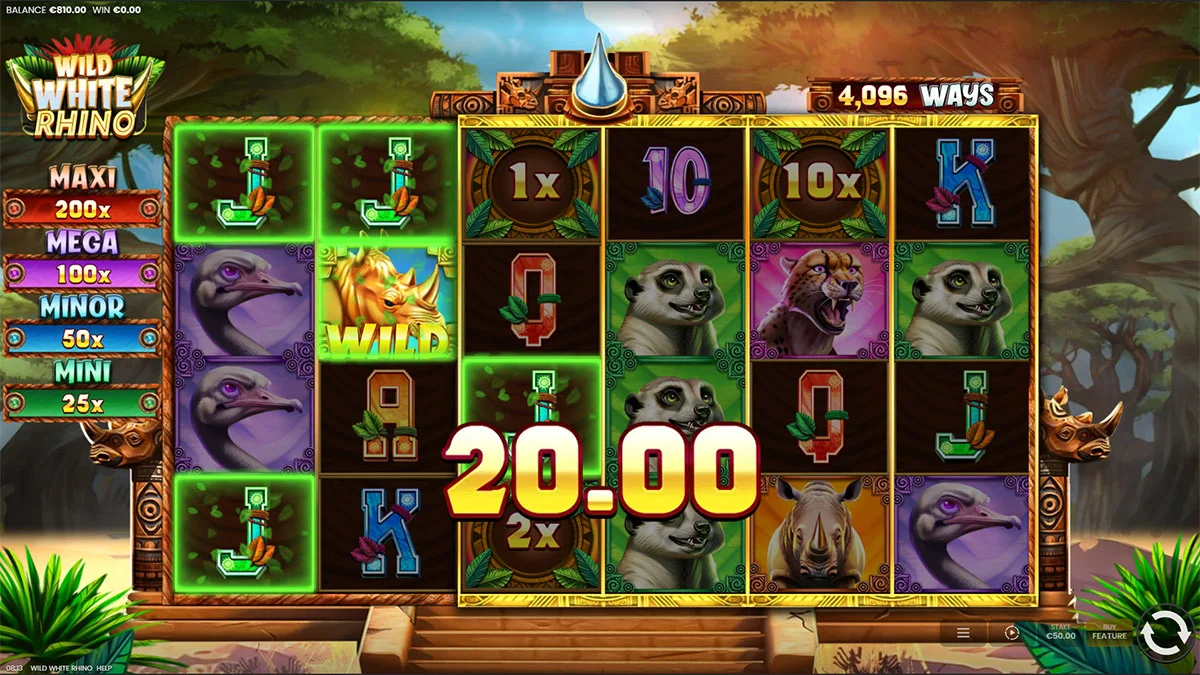Wild White Rhino Win2