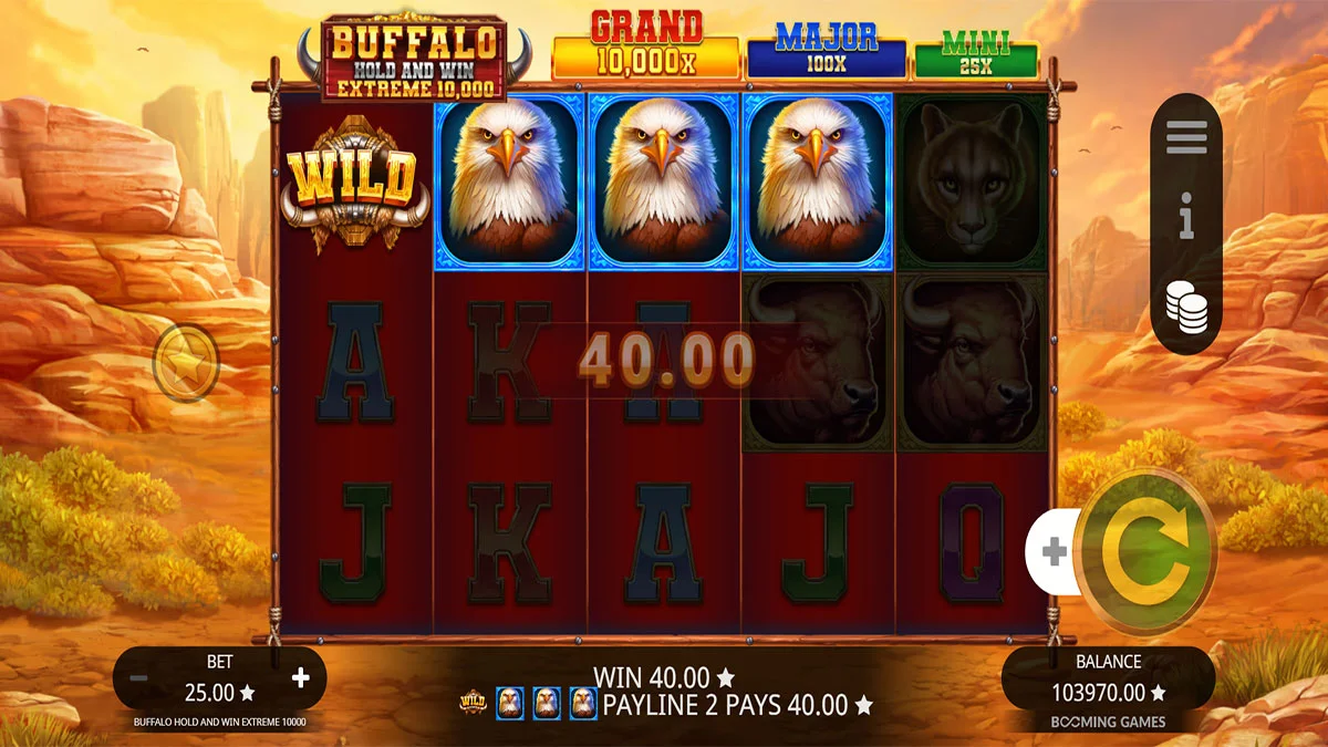 Buffalo Hold & Win Extreme 10,000 Win3