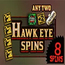 Duck Hunters HawnSpins