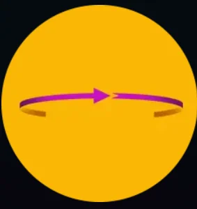 Fruit Collector Respin Symbol