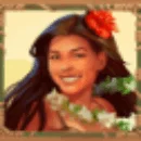 Hawaiian Fever Wild Symbol