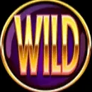 Reel Reel Hot Wild Symbol