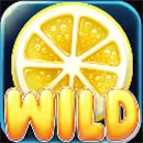 Jelly Candy Wild