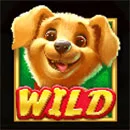 Lucky Dog Homescreen