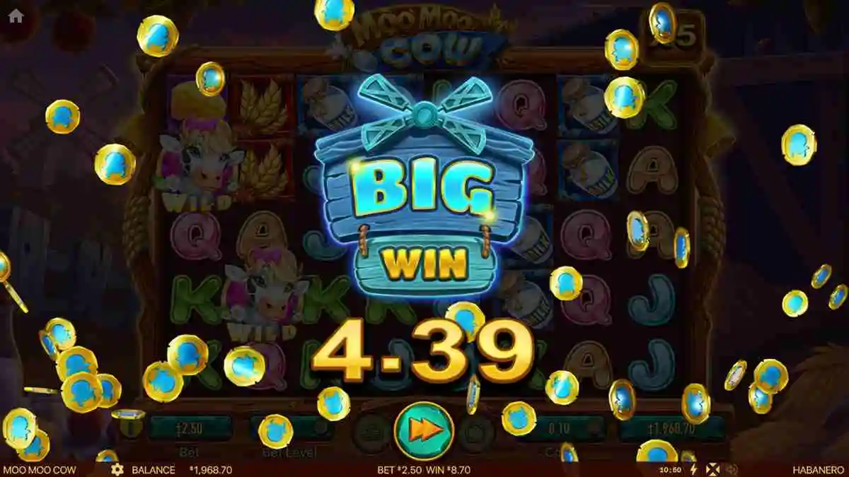 Moo Moo Cow Big Win