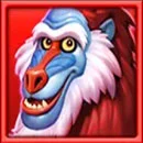 Safari Mystery Baboon