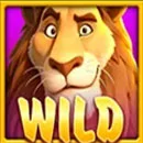 Safari Mystery Wild