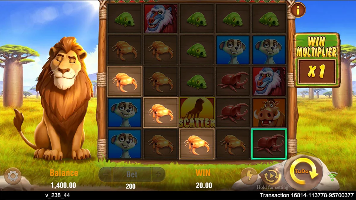 Safari Mystery Win
