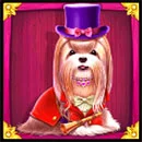 The Dog House – Royal Hunt Hairy