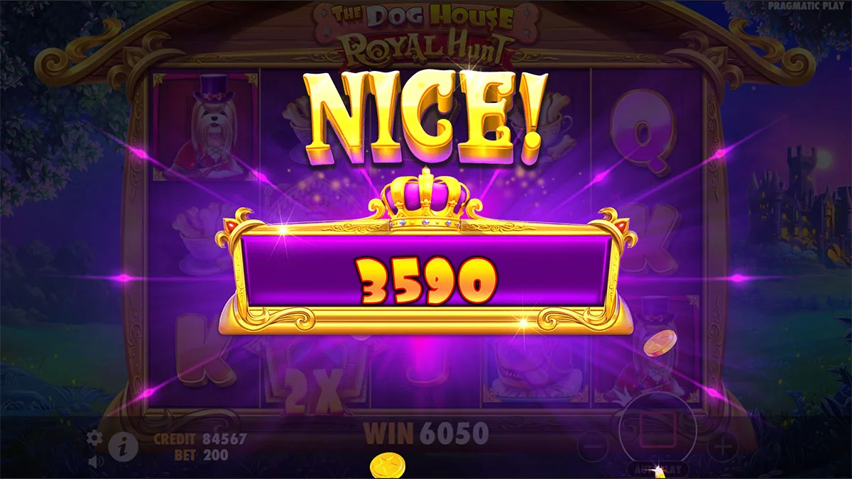 The Dog House – Royal Hunt NiceWin