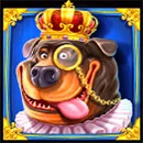 The Dog House – Royal Hunt Rotwiler