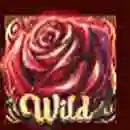 Waltz Beauty Paytable Wild Symbol