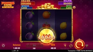 Fortune Coins Win