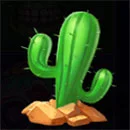Mad Muertos Cactus