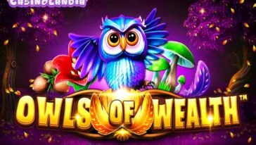 Owls of Wealth by SYNOT Games