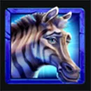 Savannah Gold Coin of the Wild Zebra