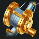 4 Fantastic Fish Gold Reel