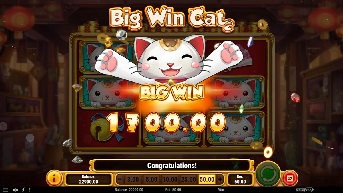 Big Win Cat Slot Big Win