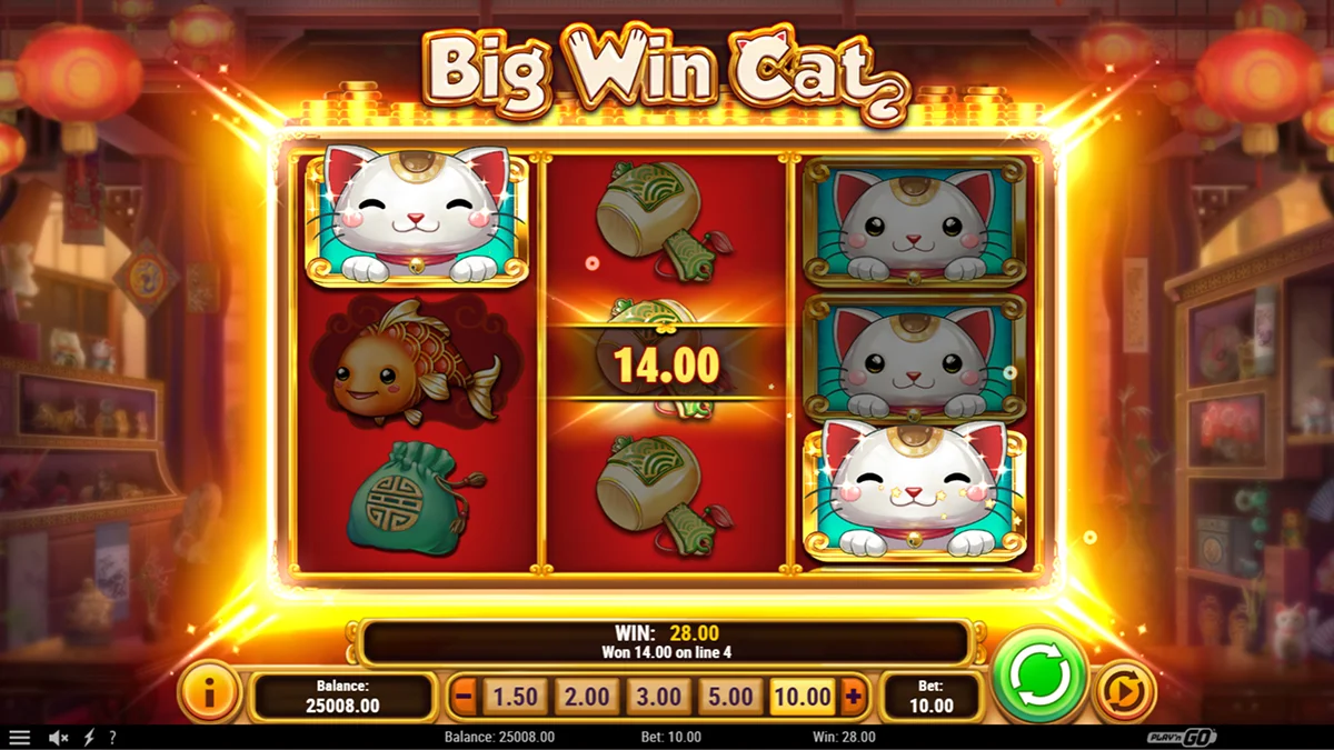 Big Win Cat Slot Winning Combination