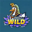 Boat Bonanza CrocoNile! Wild