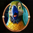 Jumbo Safari Parrot