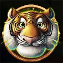 Jumbo Safari Tiger