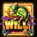 Jumbo Safari Wild