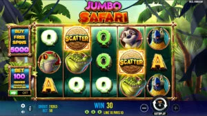 Jumbo Safari Win