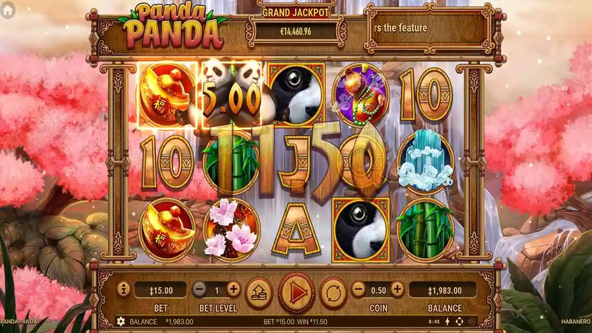 Panda Panda Regular Win