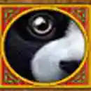 Panda Panda Scatter
