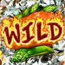 Sizzling Spins Slot Symbol